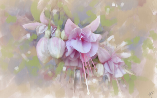 1083779 (a): :2880x1800